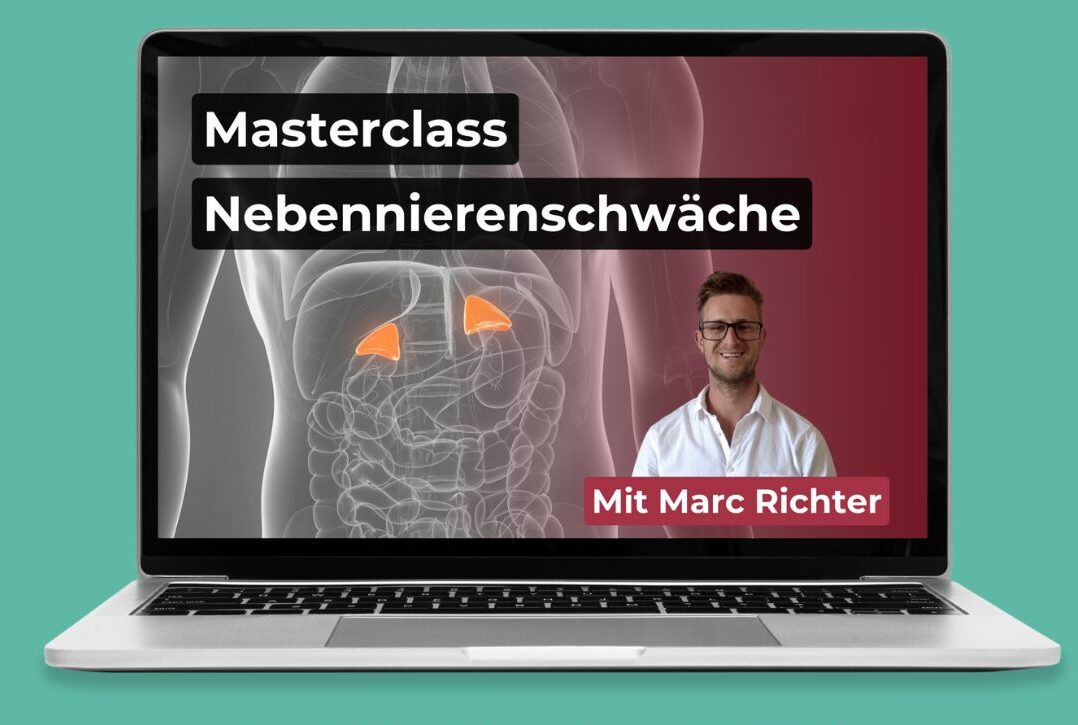 Nebennierenschwäche Masterclass auf Laptop mit Mentor Marc Richter