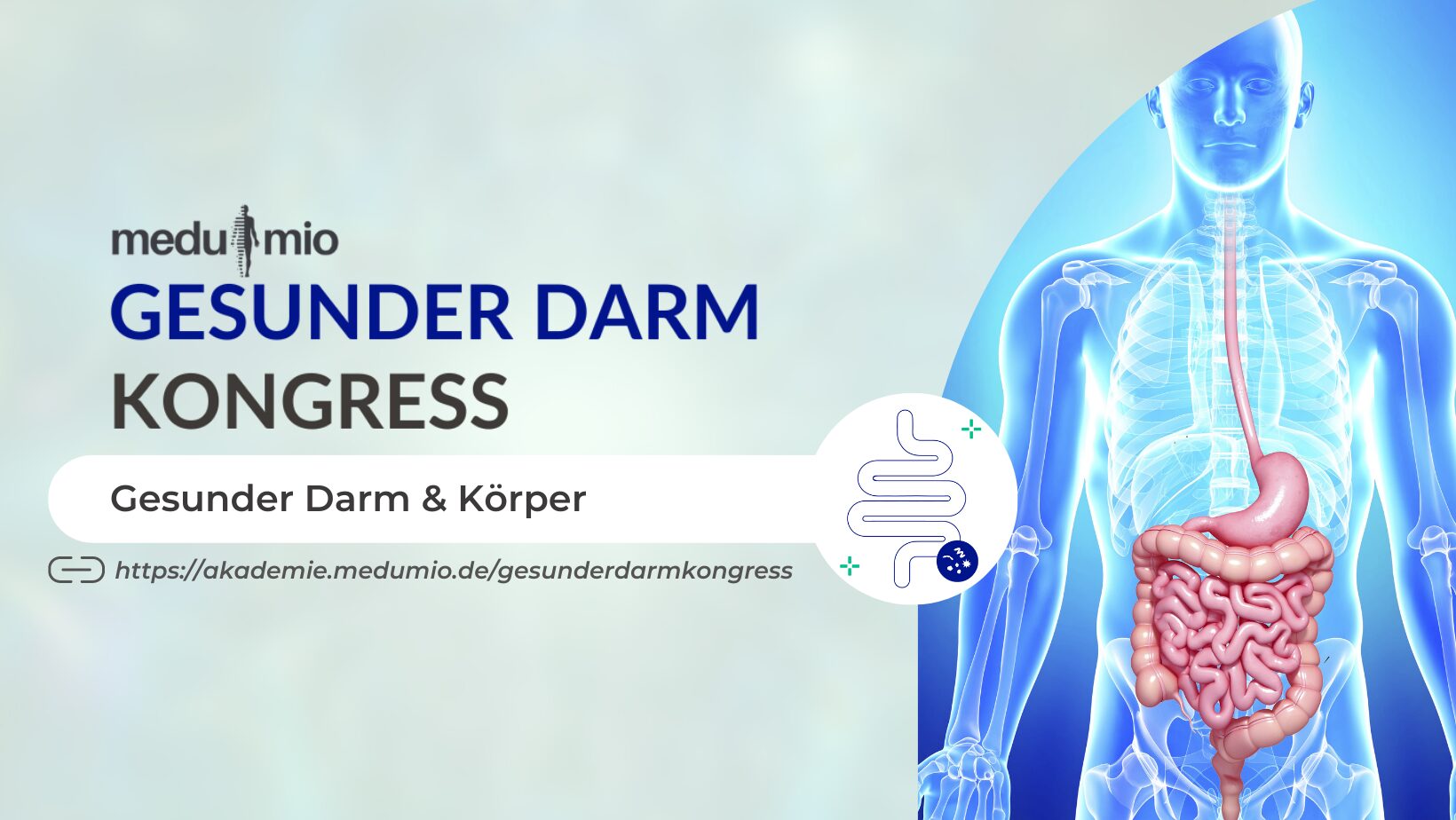 Gesunder Darm Kongress 2026