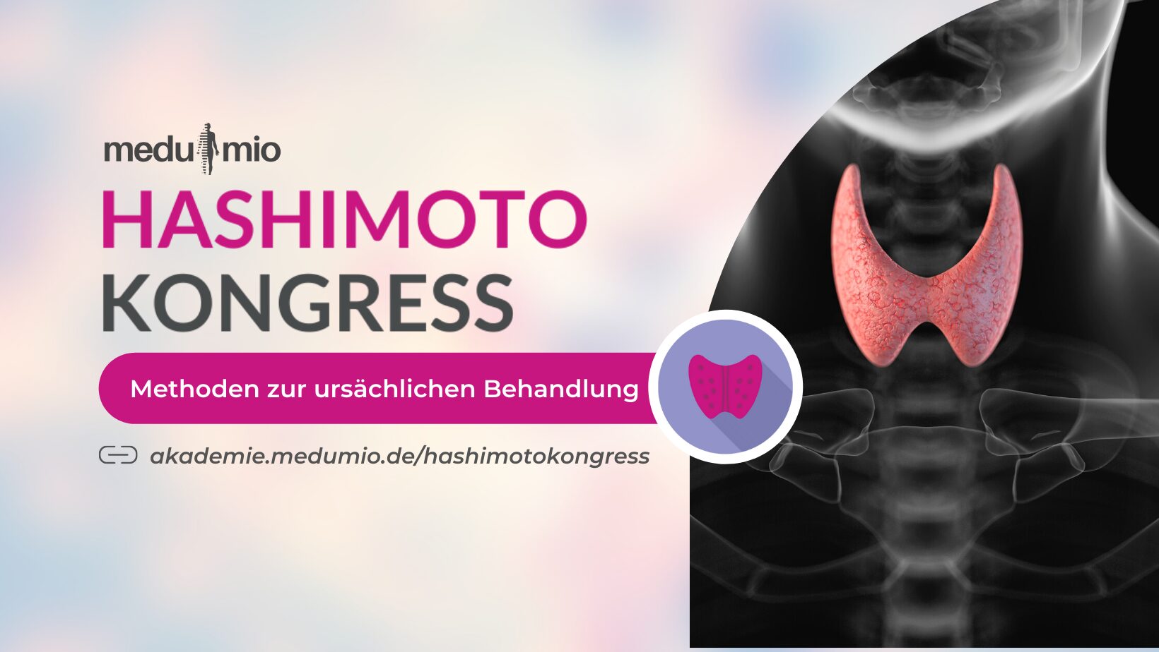 Hashimoto Kongress Promobanner