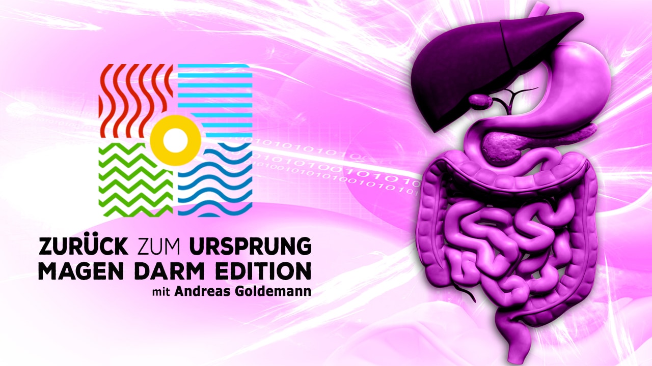 Zurück zum Ursprung – Magen-Darm-Edition